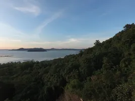  Land for sale in Thalang, Phuket, Thep Krasattri, Thalang