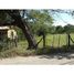  Land for sale in Guanacaste, Santa Cruz, Guanacaste