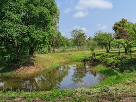  Land for sale in Chiang Rai, Huai Sak, Mueang Chiang Rai, Chiang Rai