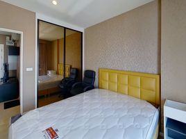 1 Schlafzimmer Wohnung zu verkaufen im Aspire Sukhumvit 48, Phra Khanong