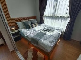 1 Schlafzimmer Wohnung zu verkaufen im Plum Condo Ramkhamhaeng, Suan Luang, Suan Luang