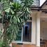 4 Bedroom Townhouse for rent at Suksan Villa 2, Saen Suk