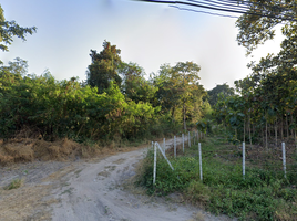  Grundstück zu verkaufen in San Pa Tong, Chiang Mai, Ban Klang