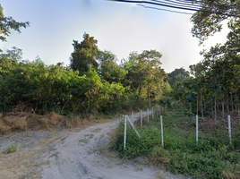  Grundstück zu verkaufen in San Pa Tong, Chiang Mai, Ban Klang, San Pa Tong