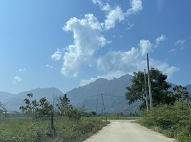  Land for sale in Pong Pha, Mae Sai, Pong Pha