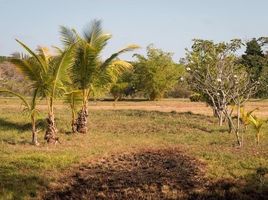  Grundstück zu verkaufen in San Lorenzo, Chiriqui, Boca Chica, San Lorenzo