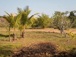  Grundstück zu verkaufen in San Lorenzo, Chiriqui, Boca Chica