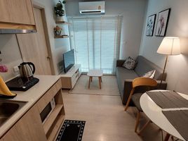 1 Schlafzimmer Appartement zu vermieten im Nue Noble Srinakarin - Lasalle, Samrong Nuea, Mueang Samut Prakan, Samut Prakan