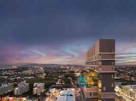 1 Schlafzimmer Wohnung zu verkaufen im Casalunar Mesto Condo, Samet