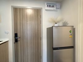 1 Bedroom Condo for rent at Phyll Phuket by Central Pattana, Wichit