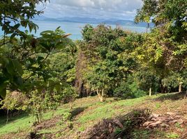  Grundstück zu verkaufen in Thalang, Phuket, Pa Khlok, Thalang, Phuket