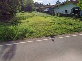  Land for sale in AsiaVillas, Na Thung, Mueang Chumphon, Chumphon, Thailand