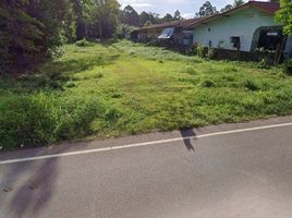  Land for sale in Chumphon, Na Thung, Mueang Chumphon, Chumphon