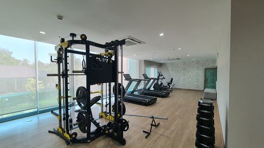 Fotos 1 of the Communal Gym at Touch Hill Place Elegant