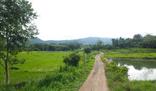 N/A Land for sale in Ban Chang, Chiang Mai 