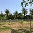  Land for sale in Phetchaburi, Don Yang, Mueang Phetchaburi, Phetchaburi