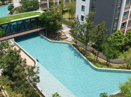 2 Bedroom Apartment for rent at D Condo Ping, Fa Ham, Mueang Chiang Mai