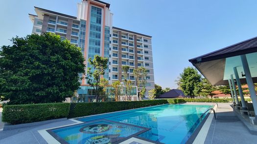 Photos 1 of the Communal Pool at Touch Hill Place Elegant