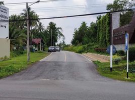  Grundstück zu verkaufen in Takua Pa, Phangnga, Bang Muang