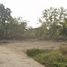  Land for sale in Phuket, Si Sunthon, Thalang, Phuket