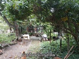  Land for sale in Tha Kham, Sam Phran, Tha Kham