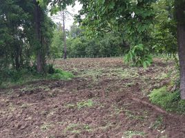  Land for sale in Buri Ram, Ban Yang, Mueang Buri Ram, Buri Ram