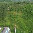  Land for sale in Bo Phut, Koh Samui, Bo Phut