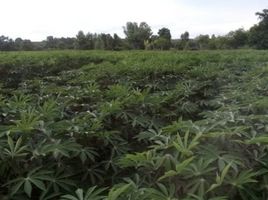  Grundstück zu verkaufen in Nam Yuen, Ubon Ratchathani, Song