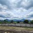  Land for sale in Pak Chong Nakhon Ratchasima, Klang Dong, Pak Chong, Nakhon Ratchasima