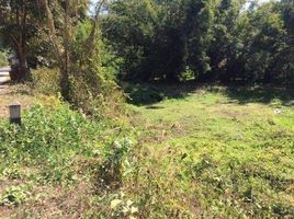  Land for sale in Pai, Mae Hong Son, Mae Hi, Pai