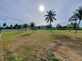  Land for sale in Wang Phong, Pran Buri, Wang Phong