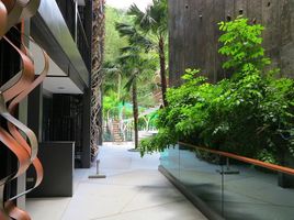 Studio Wohnung zu verkaufen im The Emerald Terrace, Patong