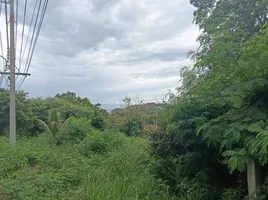  Land for sale in Samui International Airport, Bo Phut, Bo Phut