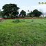  Land for sale in Huai Sai, Mae Rim, Huai Sai