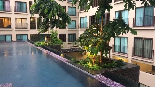 Photos 1 of the Communal Pool at Condolette Dwell Sukhumvit 26