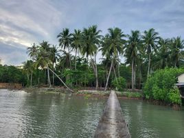  Grundstück zu verkaufen in Ko Chang, Trat, Ko Chang, Ko Chang