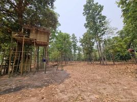  Land for sale in Chiang Mai, Mae Taeng, Mae Taeng, Chiang Mai