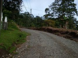  Land for sale in Siquirres, Limon, Siquirres