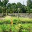  Land for sale in Taling Chan, Bangkok, Bang Chueak Nang, Taling Chan