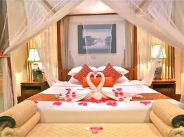 11 Schlafzimmer Hotel / Resort zu verkaufen in Mueang Chiang Mai, Chiang Mai, Tha Sala