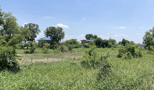 N/A Land for sale in Bang Duea, Pathum Thani 