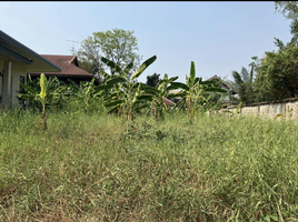  Земельный участок for sale in Mueang Nonthaburi, Нонтабури, Sai Ma, Mueang Nonthaburi