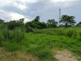  Land for sale at Summit Green Valley , Mae Sa, Mae Rim