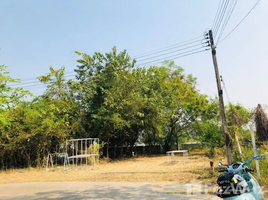  Land for sale in Makro Hang Dong, Mae Hia, Nong Khwai