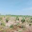  Land for sale in Nong Hiang, Pattaya, Nong Hiang, Phanat Nikhom