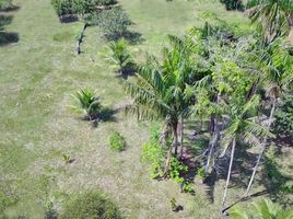  Grundstück zu verkaufen in La Chorrera, Amazonas, La Chorrera, Amazonas, Kolumbien