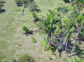  Land for sale in Colombia, La Chorrera, Amazonas, Colombia