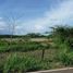  Land for sale in Aguadulce, Cocle, Aguadulce, Aguadulce
