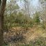  Land for sale in Thale Bok, Don Chedi, Thale Bok