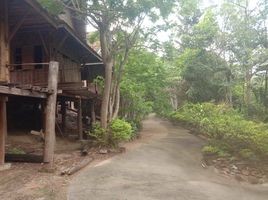  Land for sale in Kata Beach, Karon, Karon